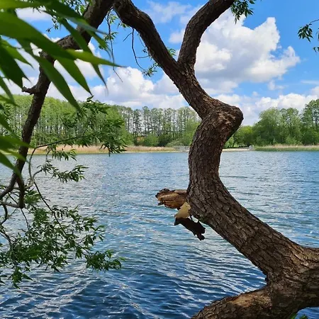 Am Wald Hotel Michendorf