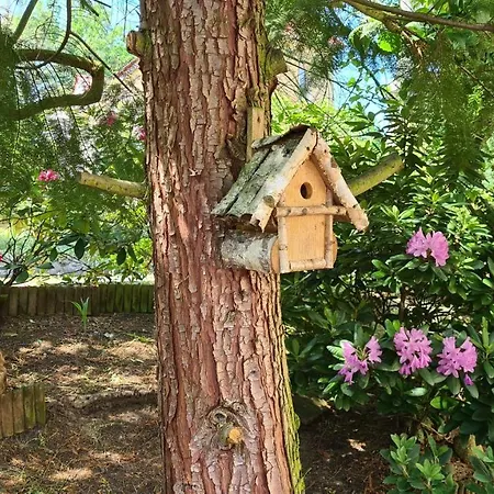 Am Wald Hotel