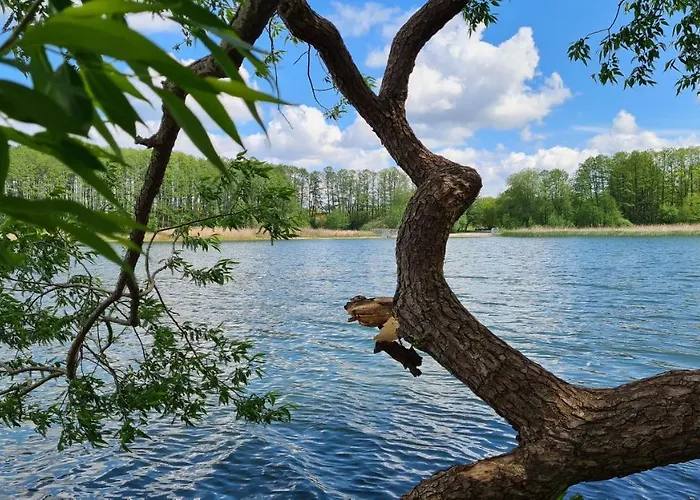 Am Wald Hotel Michendorf
